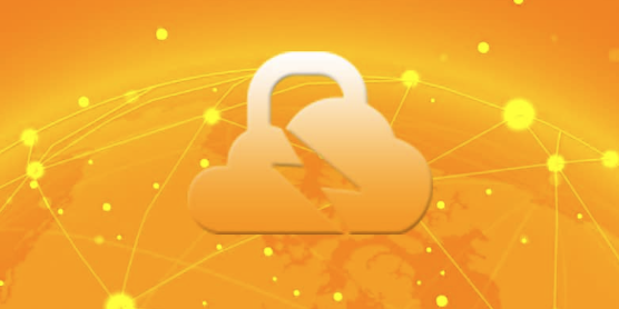 FIrewall DNS